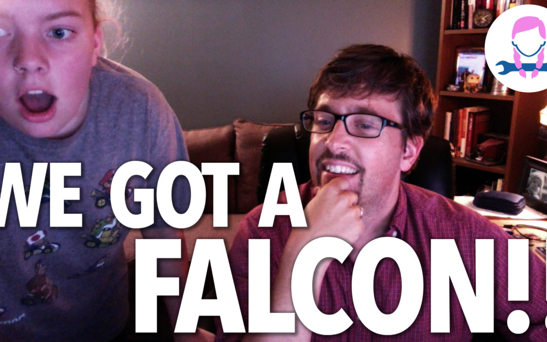 We Bought a Falcon!!